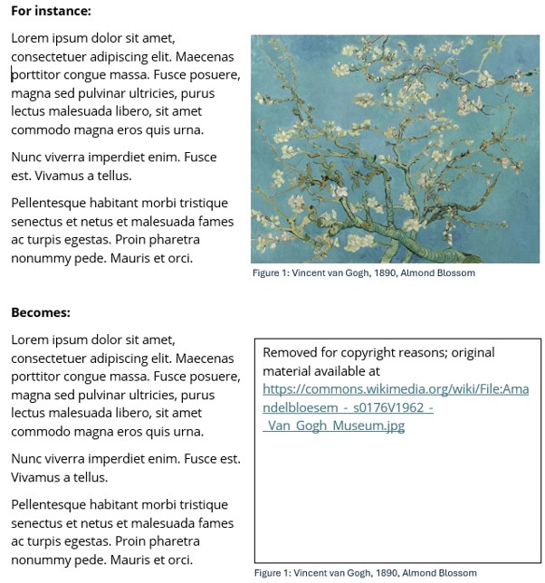 An example of how to tombstone an image, including text to use and a redirect to publicly available material